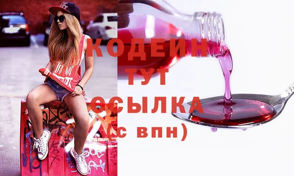 СК Няндома