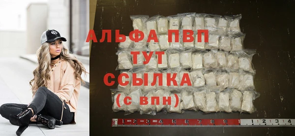 спиды Осташков