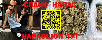 стафф Заводоуковск