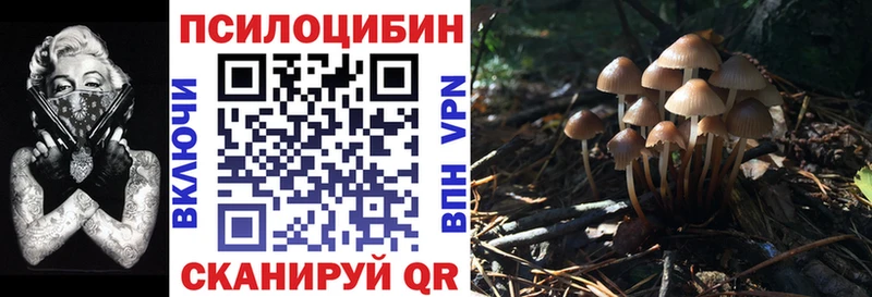 Псилоцибиновые грибы мицелий  Луга 