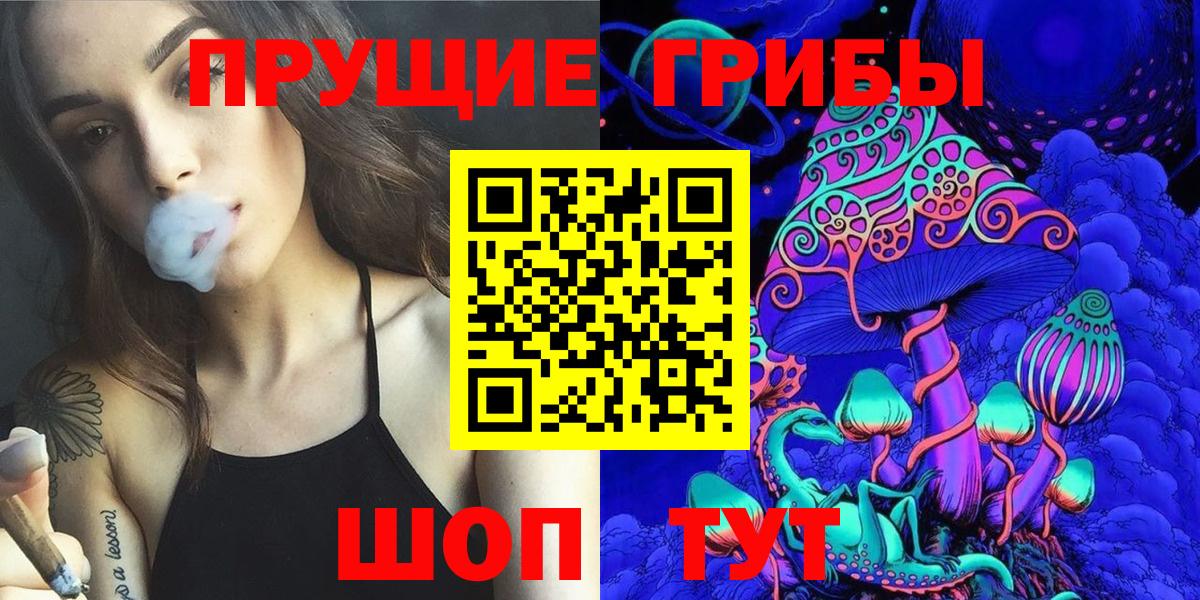 Псилоцибиновые грибы Psilocybe  Луга  Галлюциногенные грибы ЛСД 