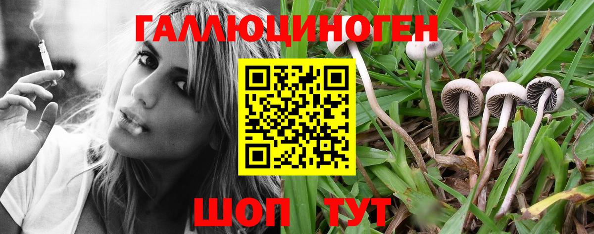 Галлюциногенные грибы мухоморы  где купить наркоту  Луга  Вход с VPN 