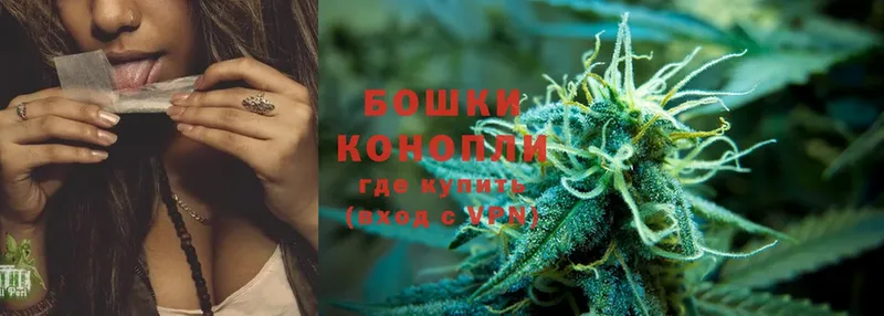 blacksprut   Луга  Шишки марихуана OG Kush 