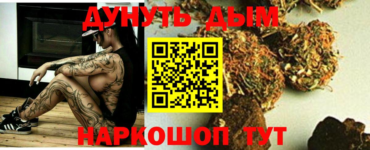 Каннабис SATIVA & INDICA Луга